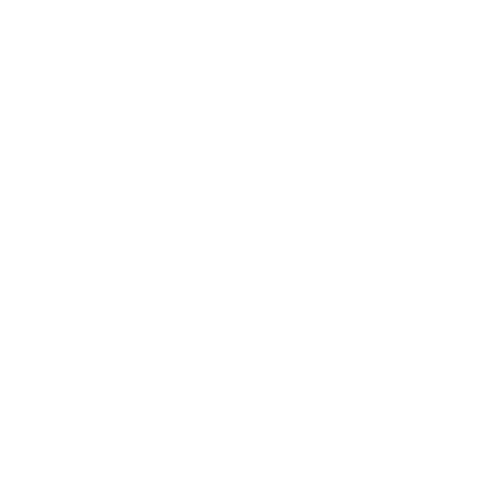 Logo White